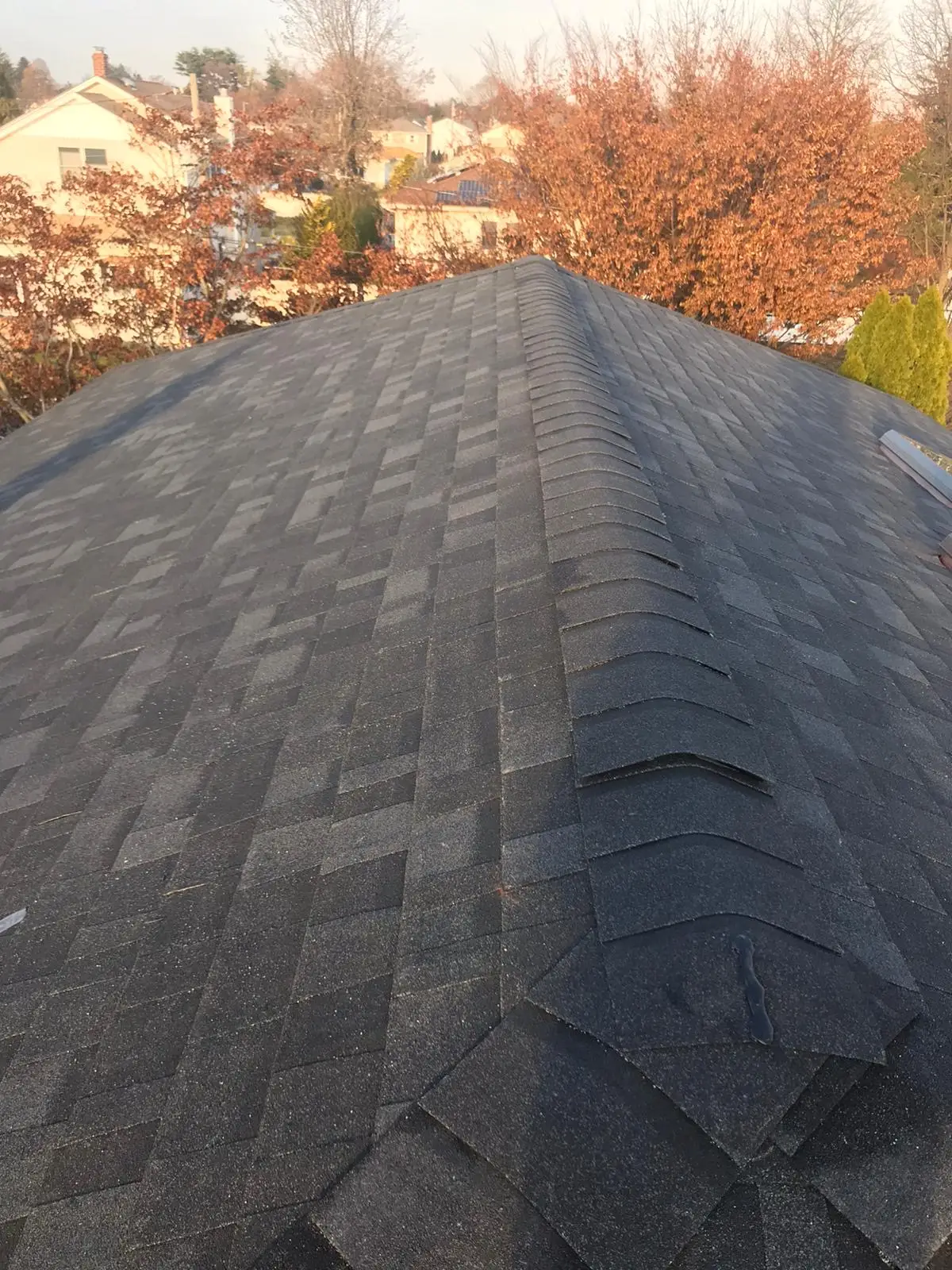 DIY Roof Repairs and When to Hire a Professional