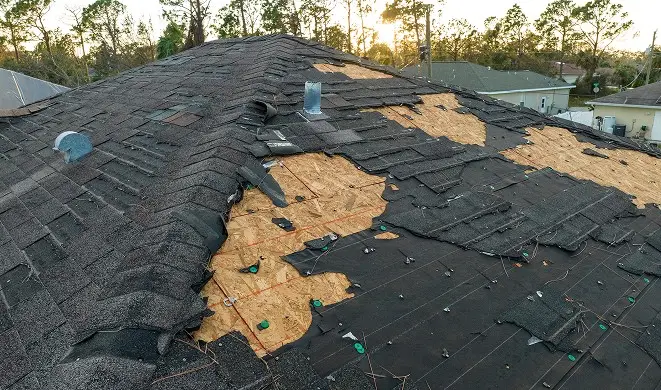 Hidden Costs of Roof Neglect: Protecting Your Home